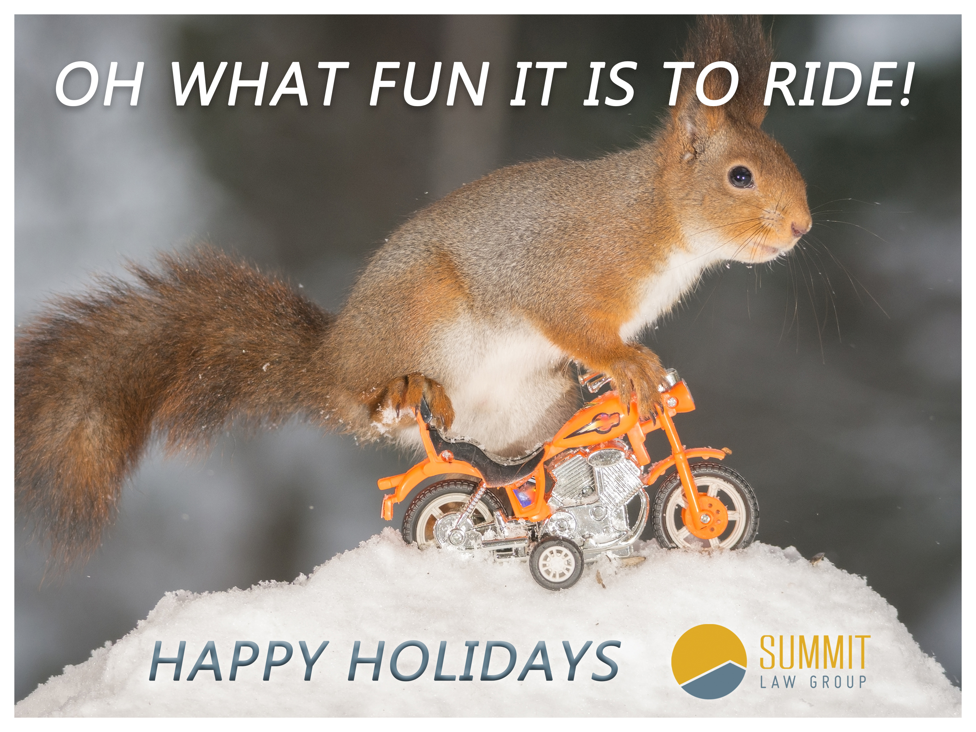 Sumi the Squirrel Happy Holidays 2017 | Summit Law Group